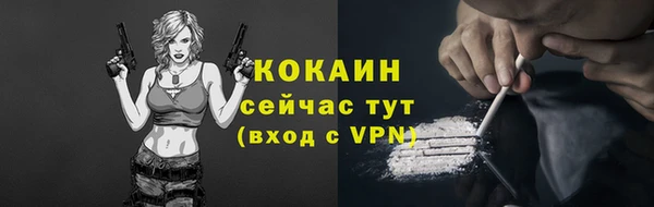 винт Богородицк