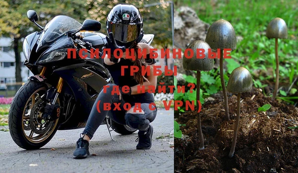 трава Богданович