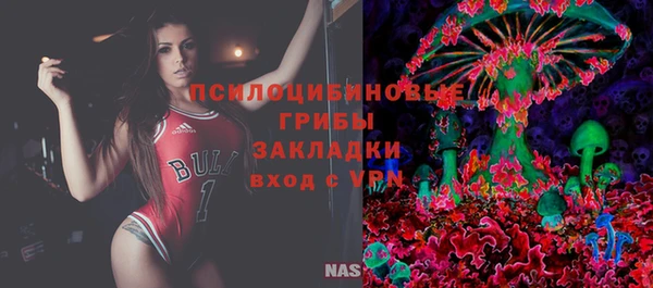 винт Богородицк