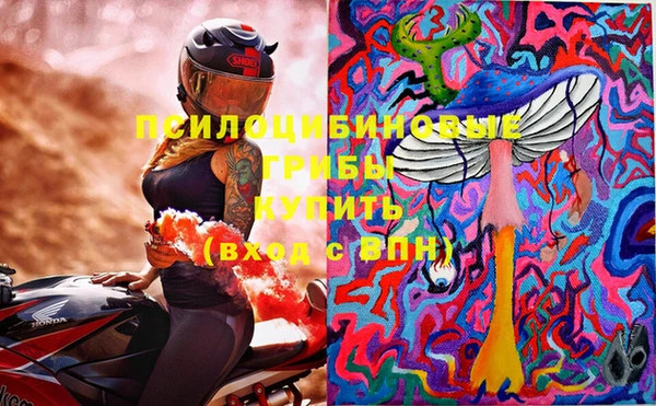 винт Богородицк