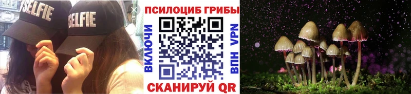 кракен ONION  мориарти клад  Галлюциногенные грибы прущие грибы  Каневская 